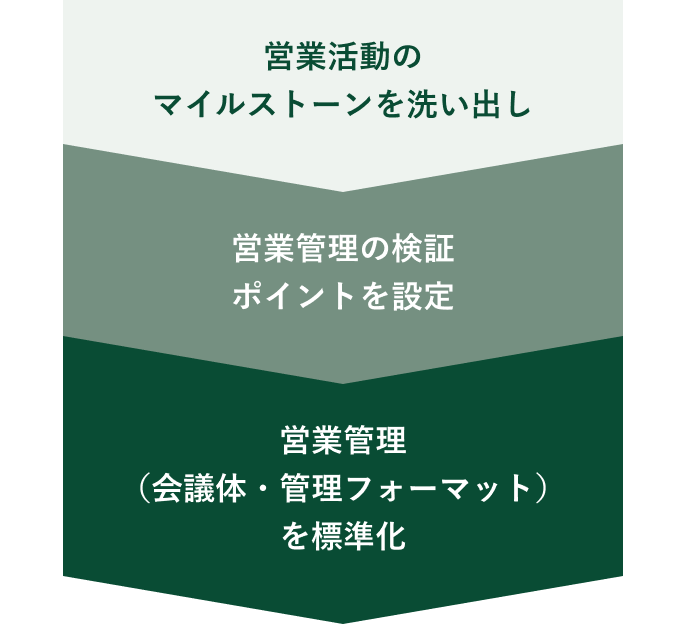 実施フローの表